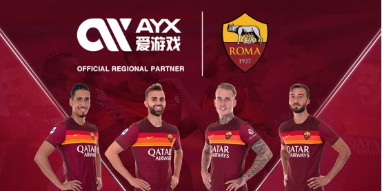 球迷與公眾